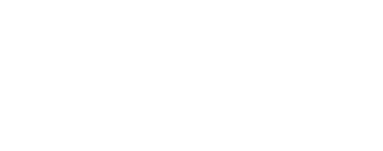 WWS_Logo_Weiss